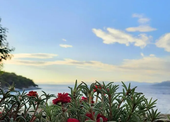 Beachfront With Big Terrace And Garden *