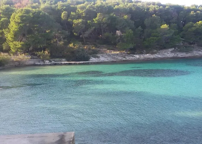 Beachfront With Big Terrace And Garden Lejlighed *