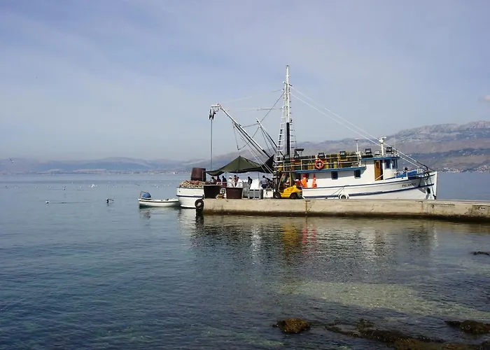 Beachfront With Big Terrace And Garden *