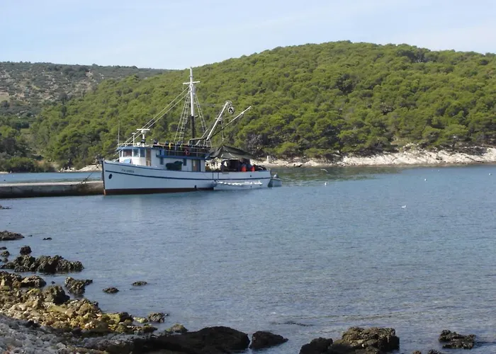 Beachfront With Big Terrace And Garden